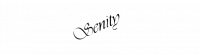 senity.pl